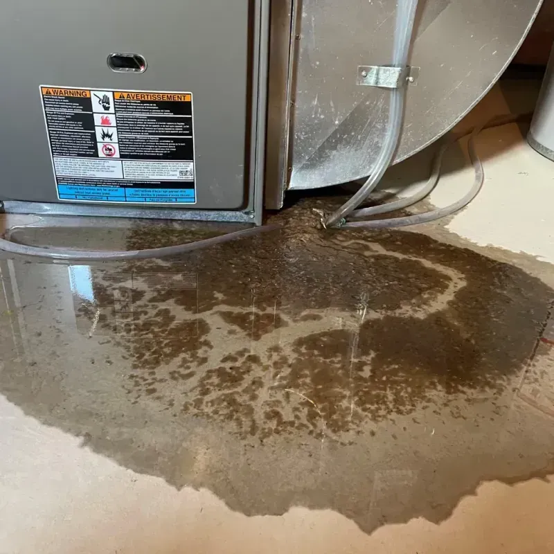 Appliance Leak Cleanup in Castleton-on-Hudson, NY